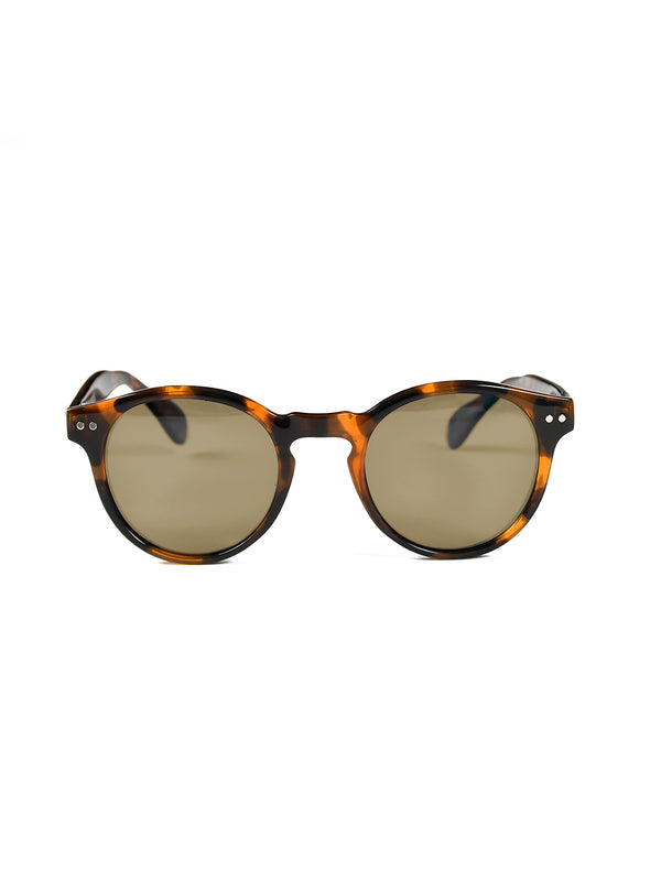 Tortoise Acetate Frame Brown Polarised Men's Sunglasses